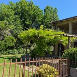 Montelaguardia porzione di bifamiliare